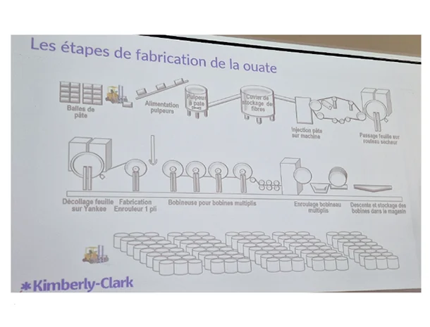 Schéma Kimberly-Clark des étapes de fabrication de la ouate, des balles de pâte au stockage des bobineaux