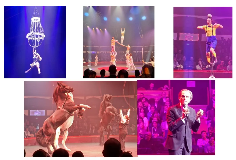 Soirée de l’entrepreneuriat normand au Cirque Arlette Gruss : trapèze, acrobates, chevaux et discours